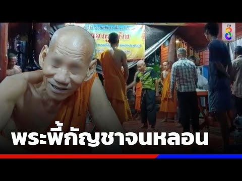 พระพี้กัญชาจนหลอน   | ข่าวช่อง8