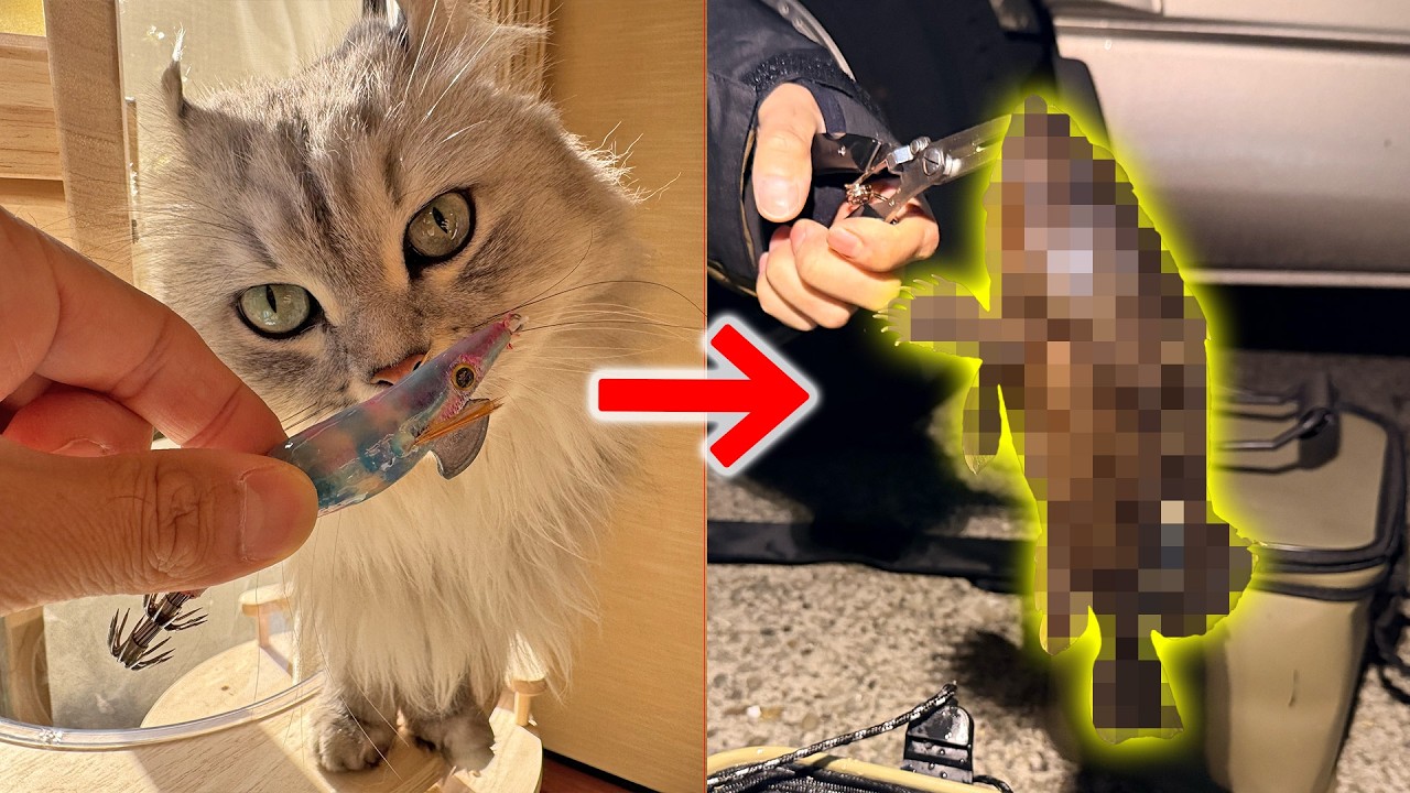 ダイソーの100円ルアーを魔改造して釣りしたら巨大○○が…