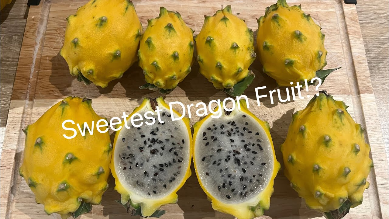 Ecuador Palora Dragon Fruit Review