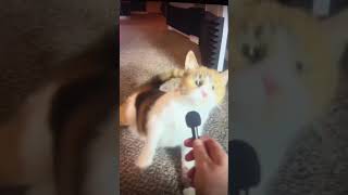 Who Feels 2019 Vibes