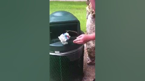 Squirrel in a trash can