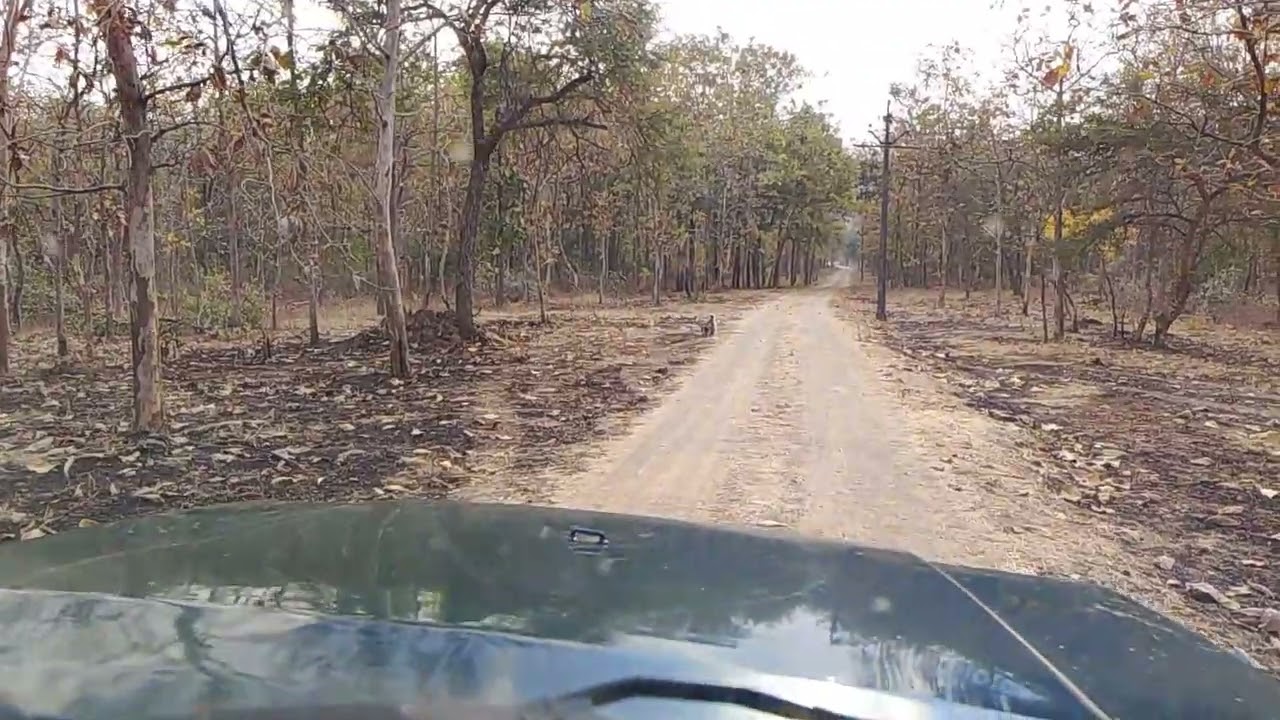 Tipeshwar animal video 