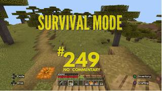 Minecraft Survival Mode Episode 249 No Commentary