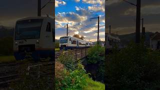 Sweg Local Train At Sunset 🌅 #Train #Germany