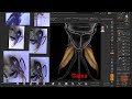 Overview of Honey Bee Mouth Part Anatomy