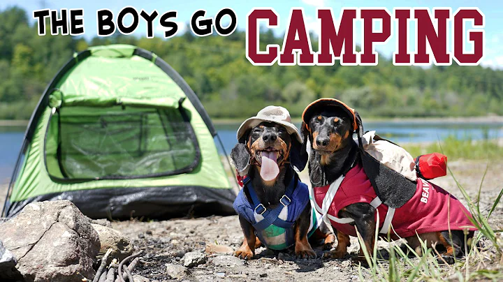 Ep 11: Crusoe & Oakley Meet BIGFOOT! — (Cute Funny Dog Camping Trip)