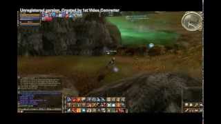 L2Elixir Lita's PvP