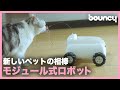 いつでもどこでもペットと一緒？次世代モジュール式ロボット「PUMPKII」