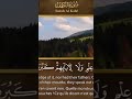 سورہ الکیف جمیلۃ ال تلاوت قران کریم کتیبہ بن مسلم