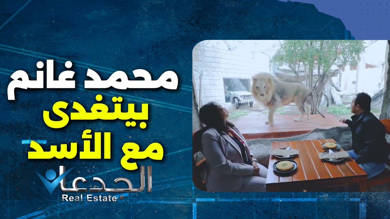 Позавтракайте, пообедайте и поужинайте в компании льва, жирафа и тигра в зоопарке ОАЭ.