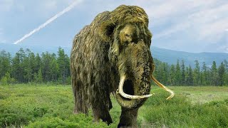 How can cloning help conservationists save extinct species?