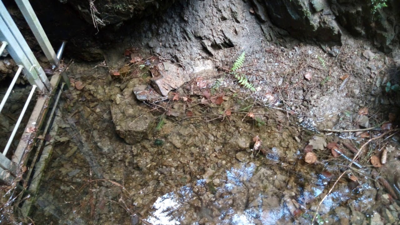 Alter Stolleneingang (Stollenmundloch) im Wald bei Morsbach-Appenhagen. Teil 3