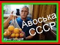 АВОСЬКА СССР 2- й способ. (homemade String bag, «fishnet bag»)