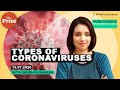 What are the different strains of human coronaviruses?