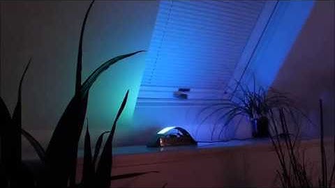 Neopixels Animations on ESP32 MQTT Json Webapp