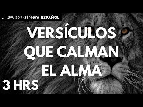 Las Promesas de Dios | Versiculos Biblicos Para Dormir