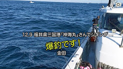 青物 ブリ ワラサ イナダ サワラ サゴシ Youtube