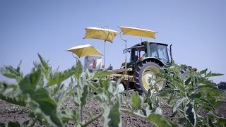 Hi-Tech Farming from UC Davis