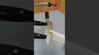 Knife Sharpened to a Razor Edge ▶︎ #shorts #knifesharpening #knife #knifesharpener #asmr