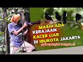 DIKEPUNG RATUSAN BURUNG KACER LIAR DI PULAU INI, SUARA KACER ADA DIMANA-MANA -  INI DI JAKARTA