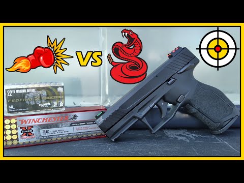 Punch vs "Red Rattlers" Winchester Super X .22lr Ballistic Gel Test With the Taurus TX22!