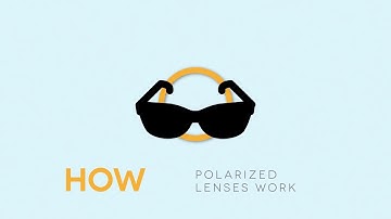 How Polarized Lenses Work | SmartBuyGlasses