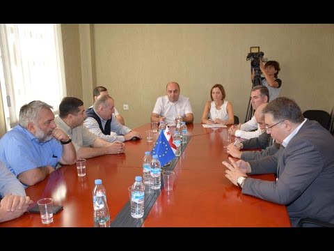 სახალხო დამცველი.   შეხვედრა ინტერპარტიული ჯგუფის წევრებთან