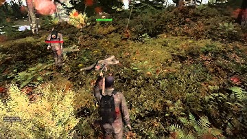 Arma 3 DayZ mod. Breaking Point:  Attempted use of axes and confusion.