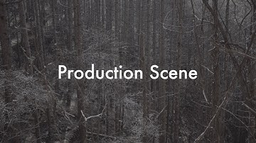 Production Scene (Ableton Live / MaxMSP / SuperCollider / TidalCycles)