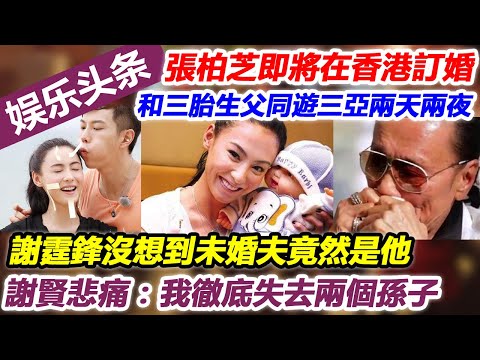 張柏芝即將在香港訂婚，和三胎生父同遊三亞兩天兩夜，謝霆鋒沒想到未婚夫竟然是他，謝賢悲痛：我徹底失去兩個孫子