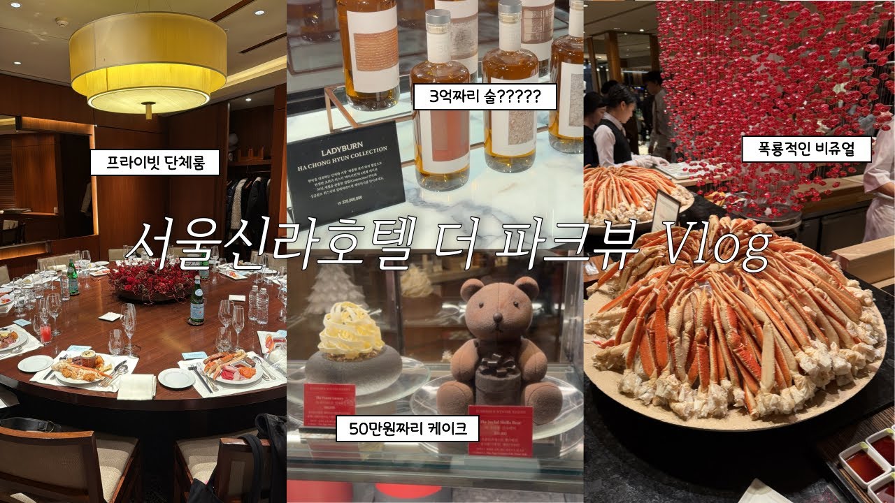 일상 Vlog | 치과 송년회👩🏻‍⚕️ | 서울신라호텔 더 파크뷰 | 매년 가는 호텔뷔페 | 원돈원산 좋은 직장(?) | Goodbye 2025 🥳