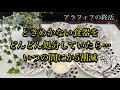 【捨て活】48歳の終活は無理なくちょこちょこ捨てていく/老後は大好きな食器だけで過ごしたい/北欧食器/パラティッシ