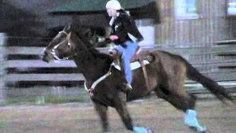 Tammi + Spec - Open Barrels - Pierson Saddle Club ...