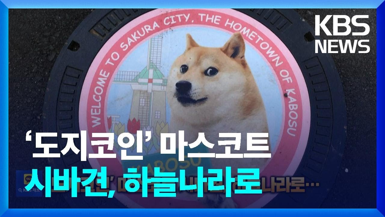 가상화폐 ‘도지코인’ 마스코트 시바견, 하늘나라로 [잇슈 SNS] / KBS 2024.05.28.