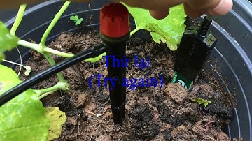 Hệ thống tưới tự động cảm biến độ ẩm đất và Arduino (Auto Irrigation system soil moisture Arduino)