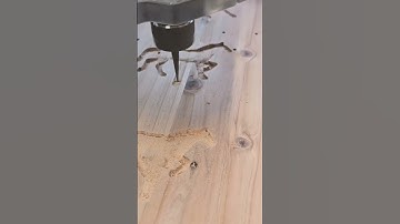 place holders for horse racing card and dice game