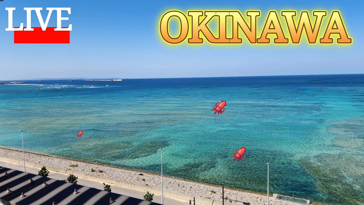 暑くなったり寒くなったりで、沖縄も大変