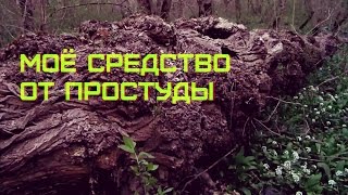 Моё простое средство от простуды