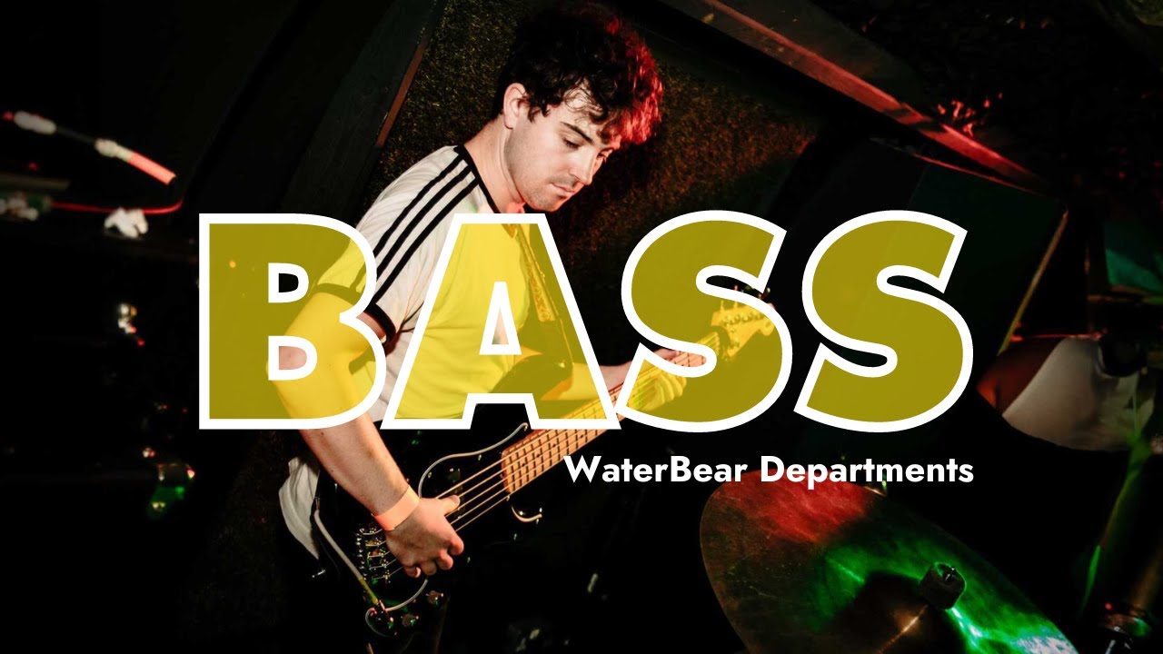 Bass Department WaterBear The College of Music YouTube