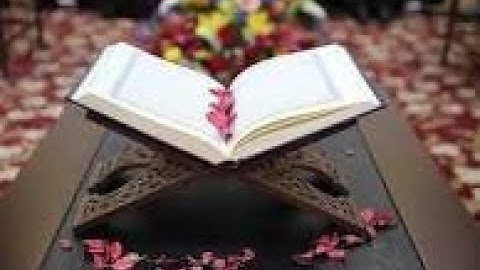 الشيخ سعد الغامدي   سورة المائدة مع صوت الطبيعة