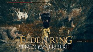 Ich find 'ne Karte - und die Bärenbrüder | #eldenring #shadowoftheerdtree