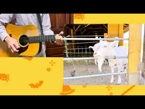 【テクテク】スピッツ／アコギ弾き語り／cover