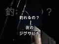 夜のジグサビキは釣れるのか？　 #fishing #アジング　#ジグサビキ