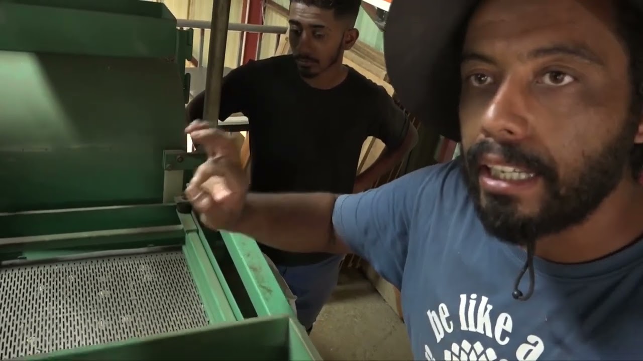 Du riz paddy au riz complet