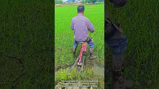 Rice Land Irrigation: Making Water Trench Using Mini Trench Cultivator 