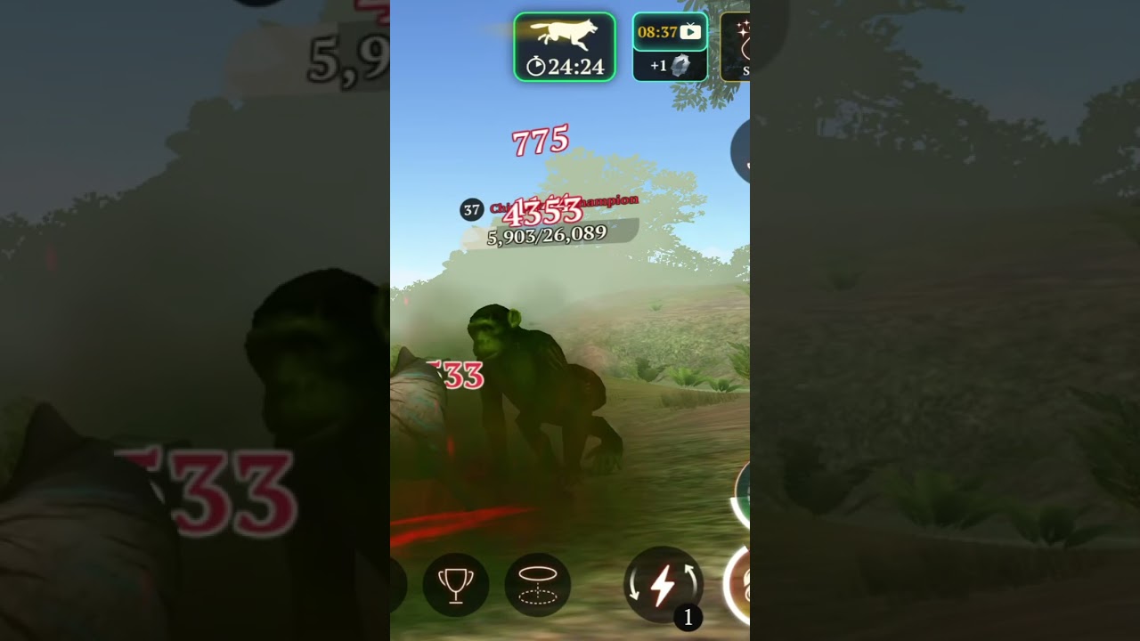 Chimpanzee Champion - The Wolf 