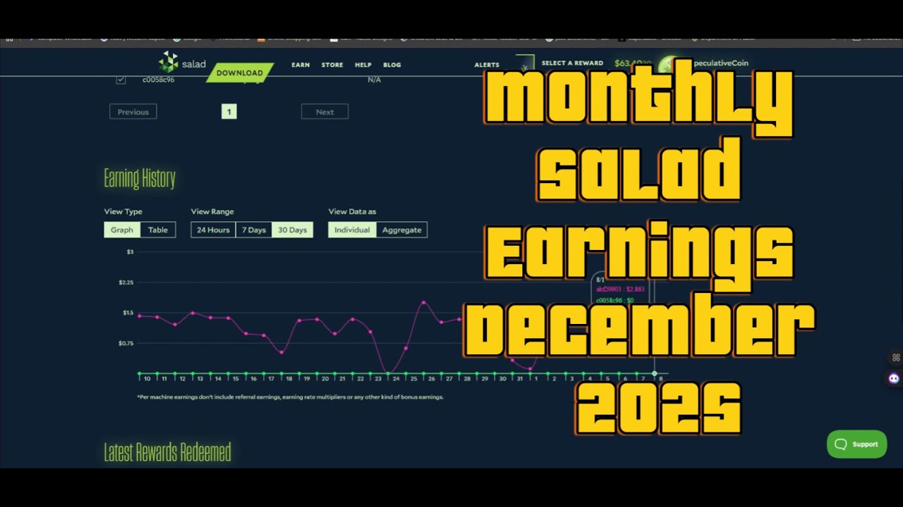 Monthly Salad Earnings December 2025 | Passive Income