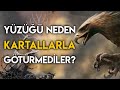 Yüzüğü Neden Kartallarla Götürmediler? (KARTALLAR TEORİSİ) | Yüzüklerin Efendisi - Orta Dünya