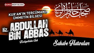 Hz. Abdullah B. Abbas R.a. Kuranin Tercümani, Ümmeti̇n Bi̇lgesi̇