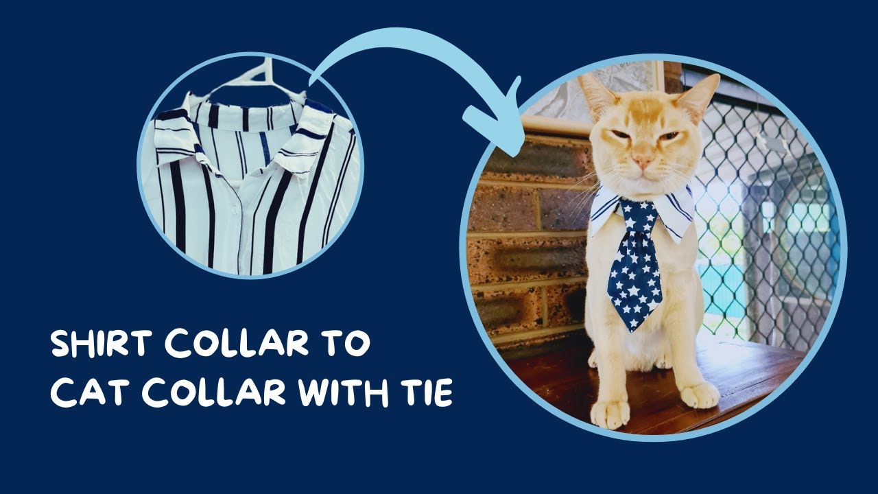 Sewing DIY Shirt Collar to Cat Collar with Tie (free pattern), image size:1280x720